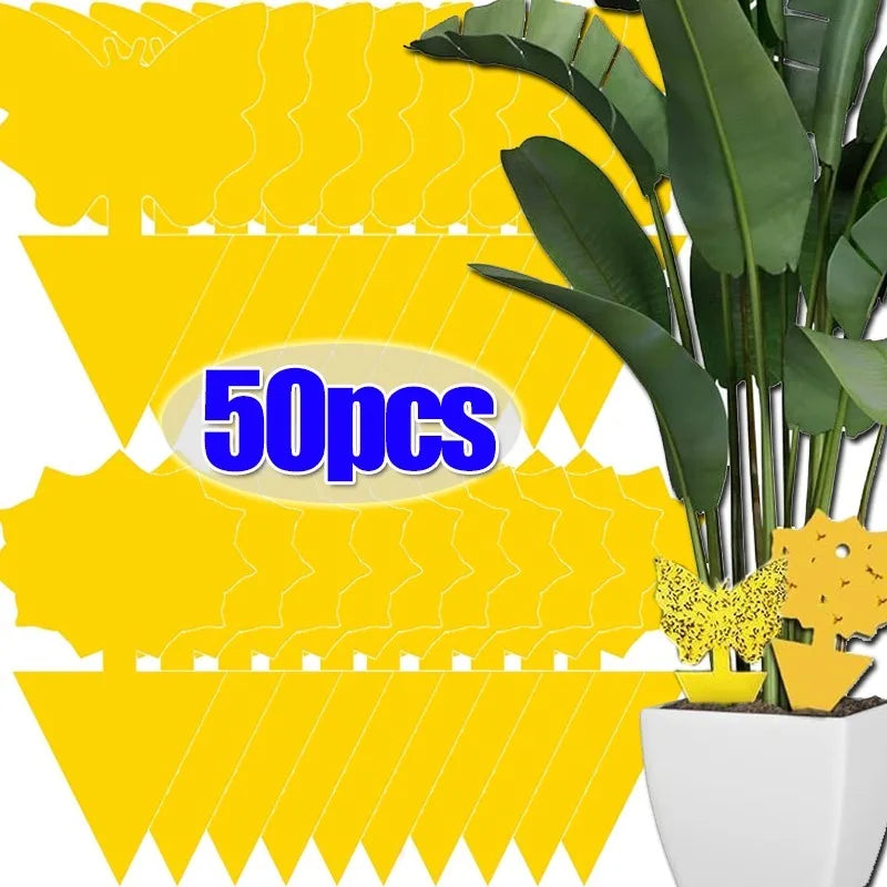 pièges insectes adhésifs papillon jaune moderne protection jardin 13x8cm abeilles mouches moustiques fourmis