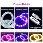 lumière croissance led usb rechargeable rose bleu blanc moderne minimaliste