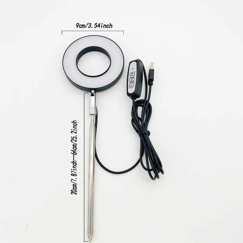lampe led plante noire blanche réglable hauteur bouton variateur moderne minimaliste piquet câble usb