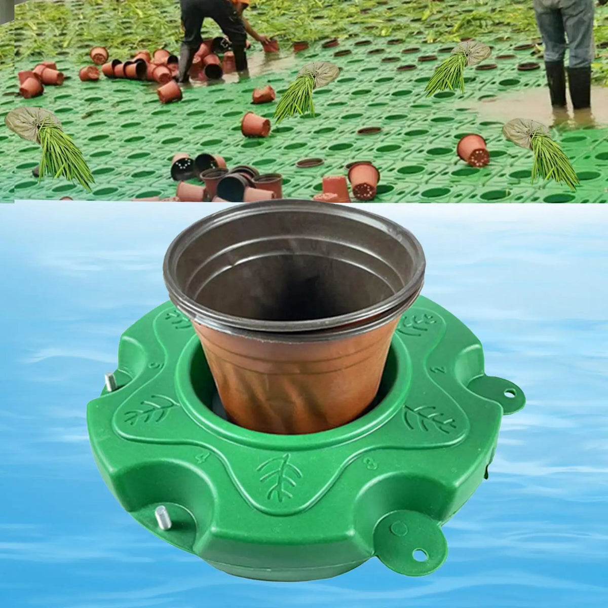 panier fleurs pot semis riz fleuri support jardin étang aquatique vert feuilles stylisées opaques
