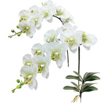 décoration intérieure orchidée artificielle blanc vert feuilles lisses moderne minimaliste maison mariage anniversaire