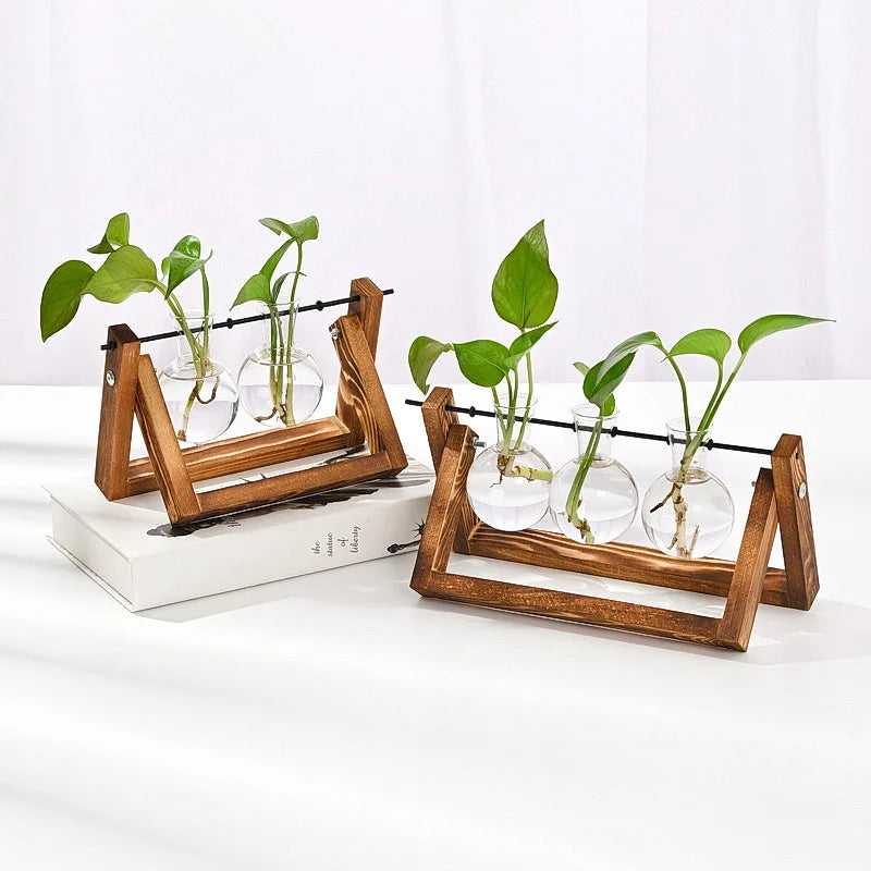 support plantes verre transparent bois naturel moderne minimaliste anneaux caoutchouc clips métalliques fixations