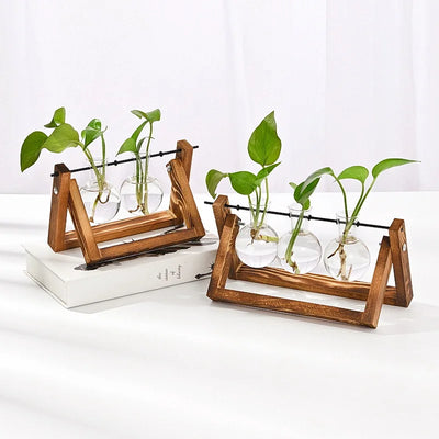 support plantes verre transparent bois naturel moderne minimaliste anneaux caoutchouc clips métalliques fixations