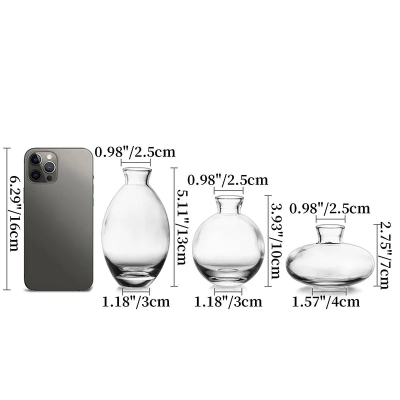 vases transparent modernes verre simple minimalistes bleu vert fleurs plantes