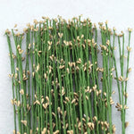guirlande artificielle multicolore fleurs petites décorative intérieure noël anniversaire mariage