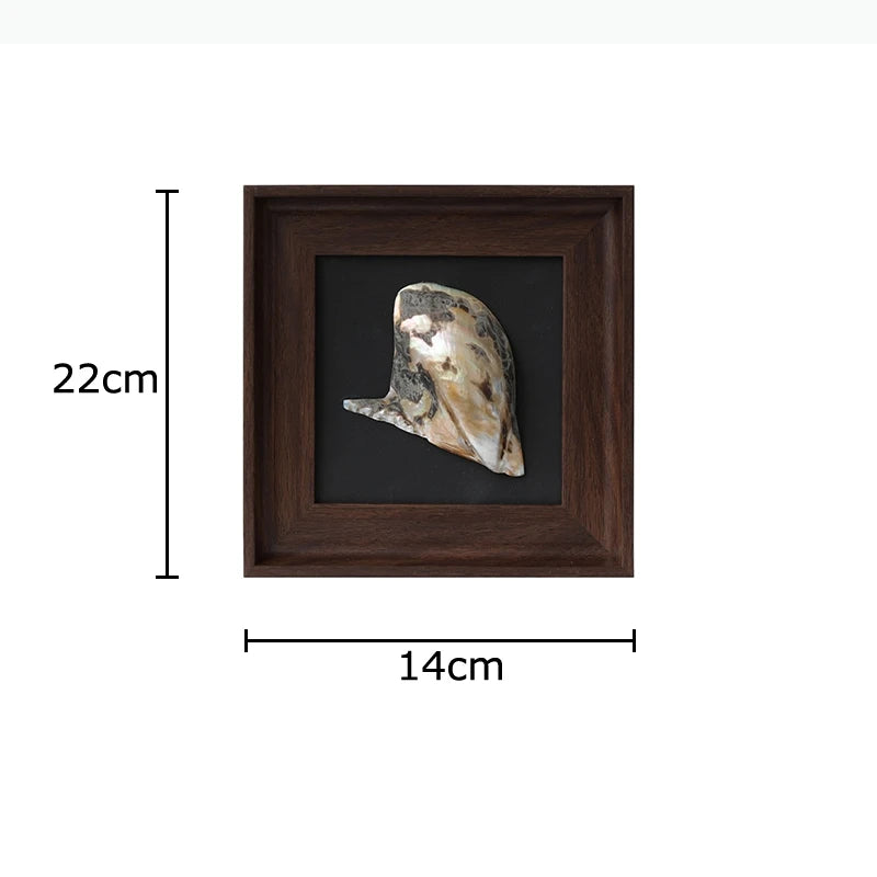 décoration murale coquilles naturelles classiques cadre brillant noir marron salon chambre affichage ornement traditionnel