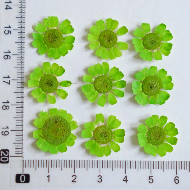 fleurs séchées multicolores bijoux résine décoration ongles maison intérieure artisanal anniversaire naturelles