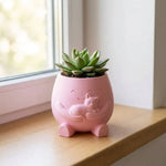 cache pot mignon rose clair blanc cactus succulentes visage souriant chaton cartoon opacité