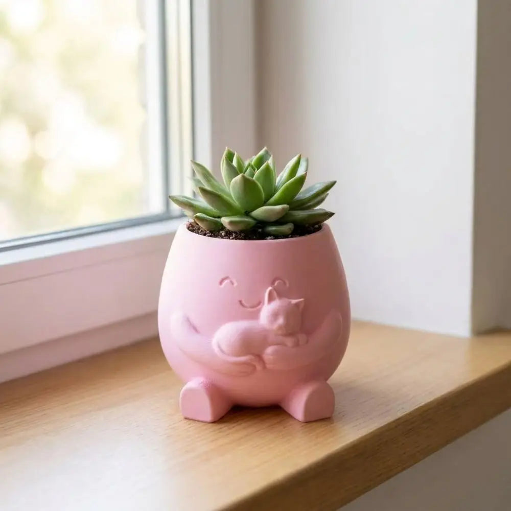 cache pot mignon rose clair blanc cactus succulentes visage souriant chaton cartoon opacité