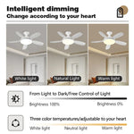ventilateur moderne blanc lumière led télécommande fixations silencieux variateur intensité