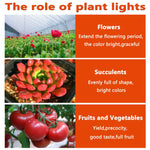 ampoule led 10w 20w 30w 50w blanc orange moderne croissance plantes 380 840nm 120deg