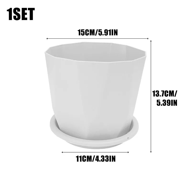 pots fleurs absorption eau succulentes intérieur décoration maison vert blanc moderne