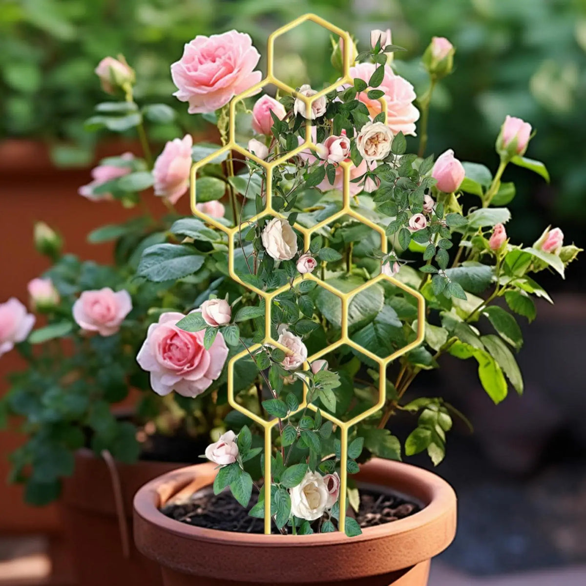 support plantes grimpantes jaune doré hexagonal moderne balcon jardin pot
