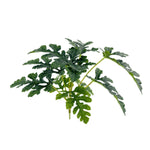 plante artificielle décorative feuilles vertes blanches rouges salon maison moderne naturel
