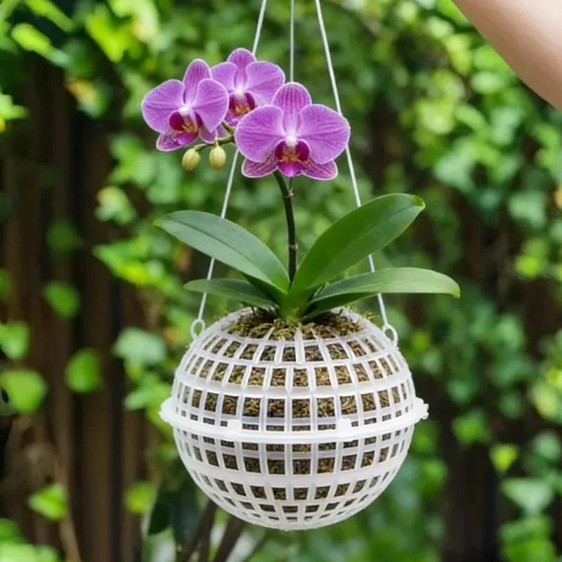 boule culture plante plastique blanc grille circulaire moderne suspendue jardin drainage transparent opacité