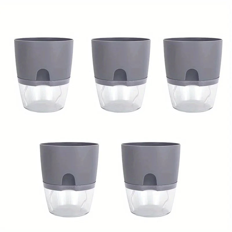 pots fleurs auto arrosage moderne gris blanc transparents plantes vertes dieffenbachia fenêtre niveau eau