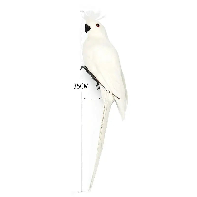 ornement animal perroquet rouge blanc vert jaune bleu rose plumes brillantes pieds extérieur intérieur