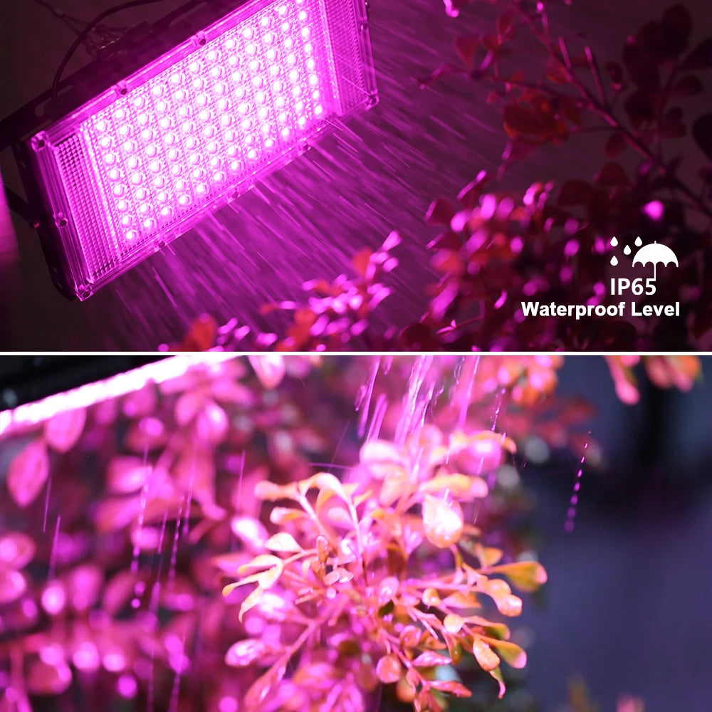 lampe led croissance végétale 50w 100w 150w violet noir moderne dimmer tringles aluminium