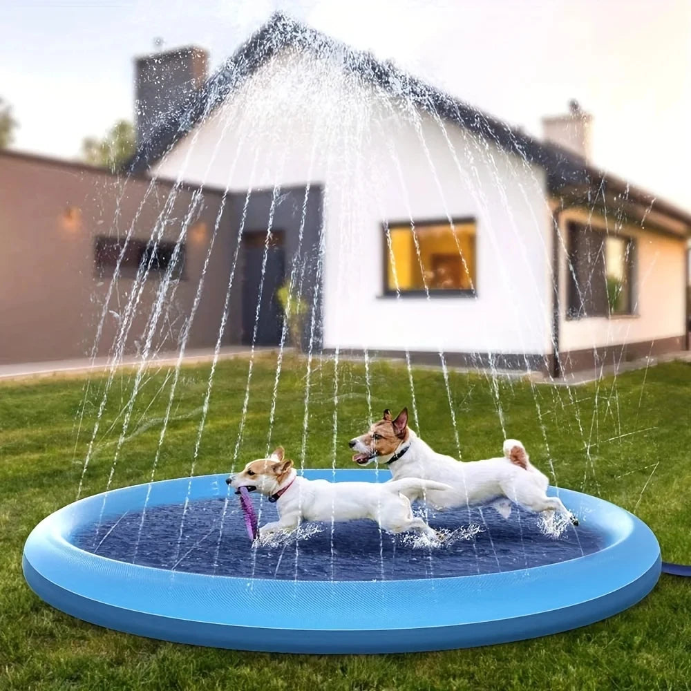 Piscine chiens jeu eau extérieure bleu disque sprinkler moderne mat