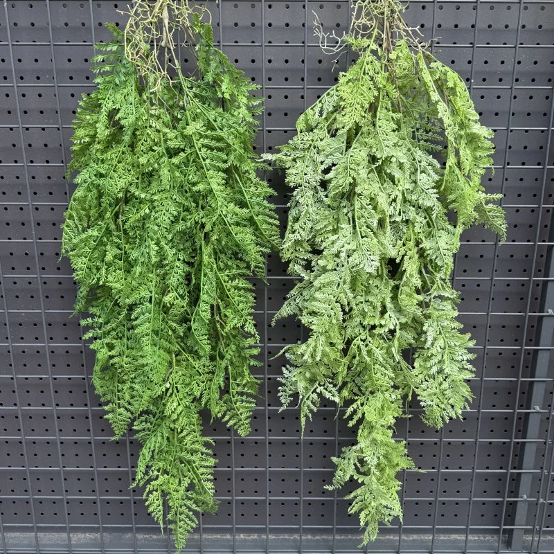 plantes suspendues vigne feuilles vertes rustiques extérieures accrochées naturellement exposéesextérieur decoration