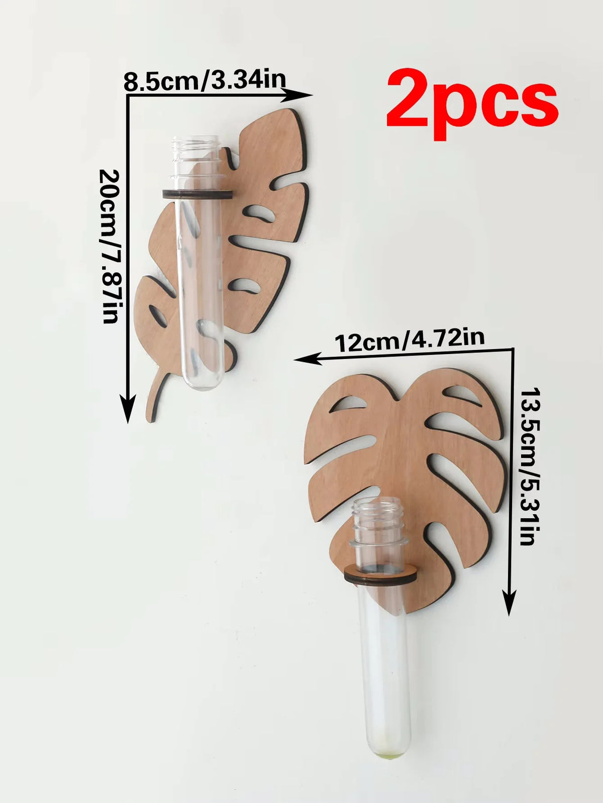 Support mural moderne feuille Monstera clips métalliques plante verte tube verre transparent chambre salon