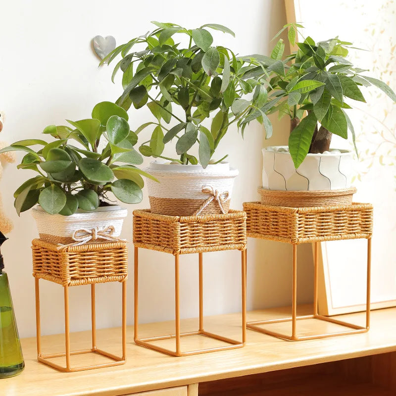 paniers plantes moderne marron clair tressé structure métallique intérieur salon balcon succulente verte mini