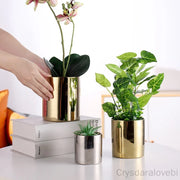 vase céramique or argent moderne intérieur succulentes décoration maison