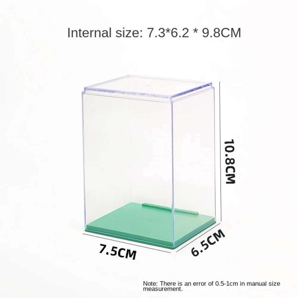 boîtes présentation transparentes fond vert moderne empilables intérieures grandes capacité rangement simple