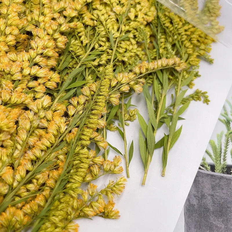fleurs séchées naturelles vertes jaunes décoration maison anniversaire baby shower pendaison crémaillère