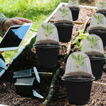 pots semis transparents noirs pratiques jardinage plantes croissance tablette étiquettes