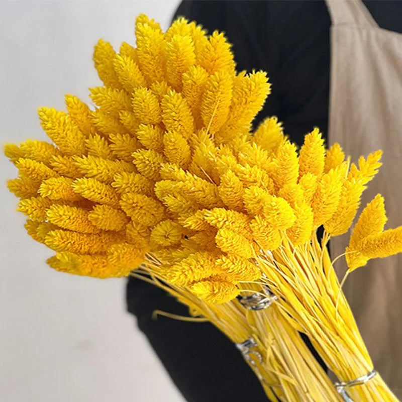 fleurs séchées naturelles bouquet orange jaune décoration maison anniversaire mariage festive bohème