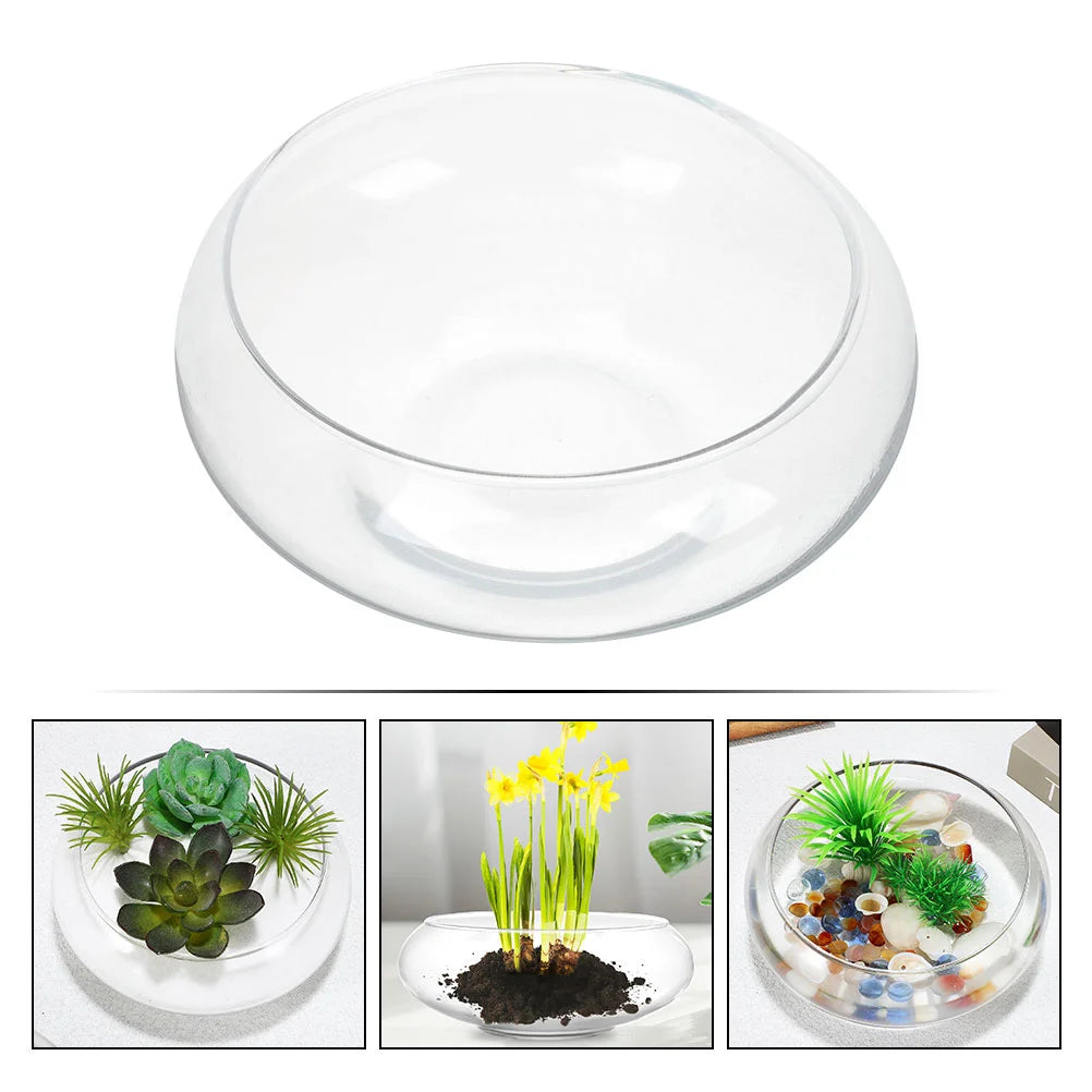 bol transparent moderne vase hydroponique terrarium poissons plante succulente pot verre