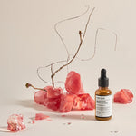 pierres quartz rose flacon parfum or argent élégant décor photo fond background prop transparent