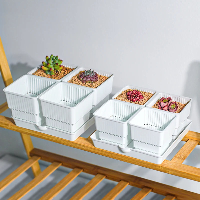 pots succulentes blancs modernes entailles drainage 6cm 7cm cactus pierres
