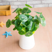 plante artificielle feuille lotus decoration intérieure aquarium zen nature apaisante ambiance sérénité table boisclair