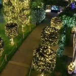 ruban lumineux led vert blanc chaud imperméable ip44 moderne télécommande décoration noël maison jardin