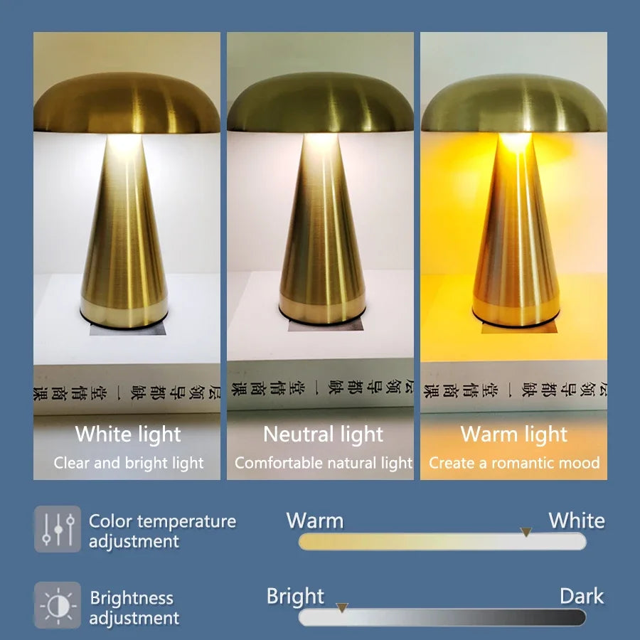 Comparaison des trois couleurs de lumière (blanche, naturelle, chaude)