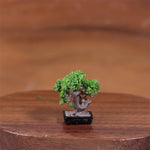 plantes artificielles vertes feuilles ovales pot terre cuite décoration maison réaliste petits espacesintérieur
