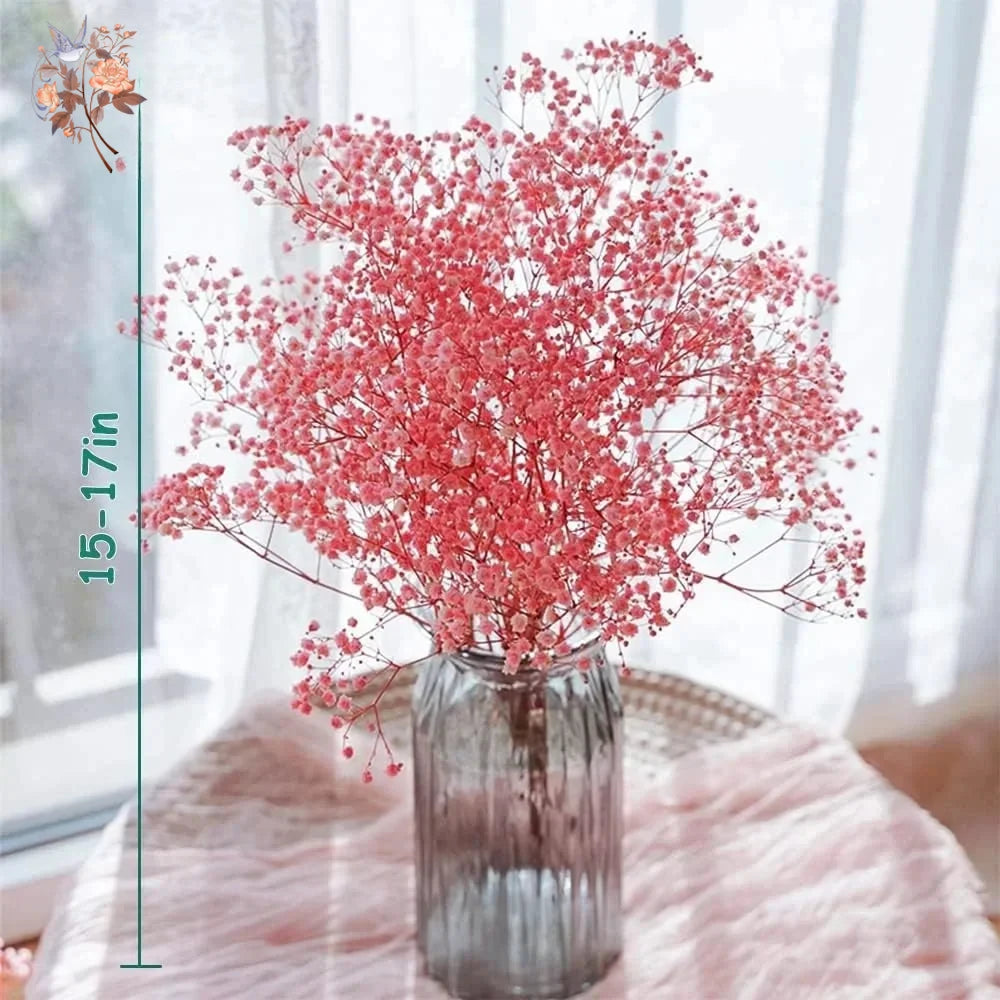 décoration maison bouquet fleurs séchées rose blanches vase naturel rustique