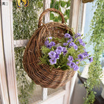 Panier suspendu en rotin utilisé sur un balcon avec plantes aromatiques