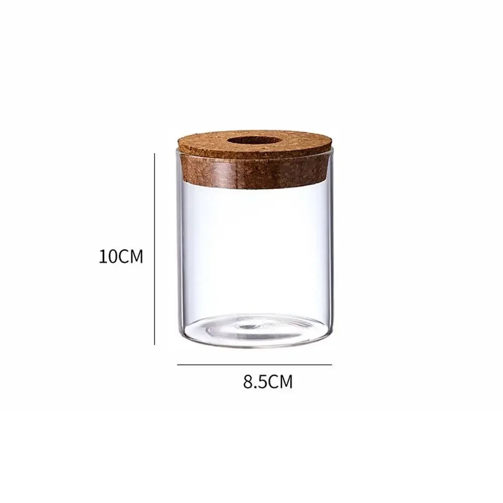 Pot plante hydroponique transparent moderne minimaliste 8cm 10cm 12cm 15cm 20cm