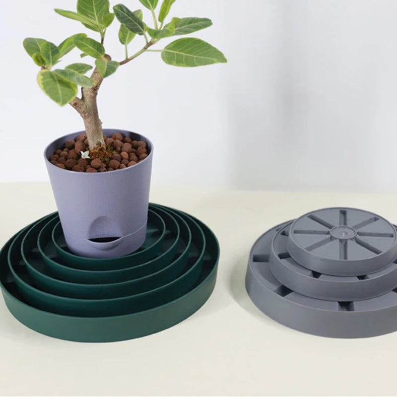 assiettes jardinage modernes plastique vert foncé gris blanc rayons opaques multifonctionnelles