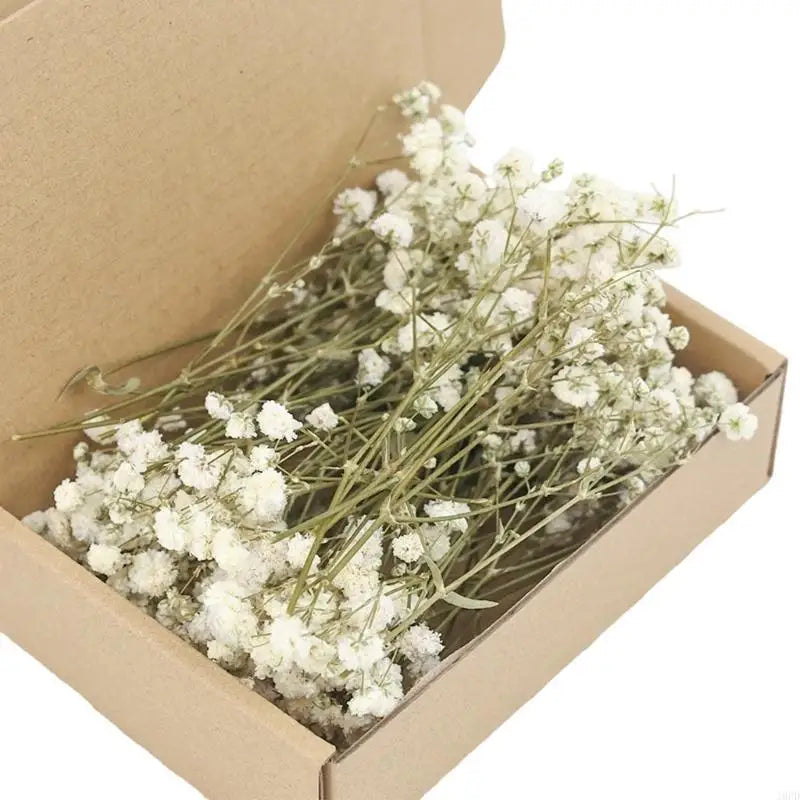 fleurs séchées blanches naturelles intérieur décoration table anniversaire fête petites fleurs tiges fines rustique