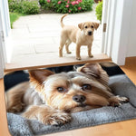 tapis d'entrée moderne antidérapant chat chien os bienvenue multicolore noir blanc