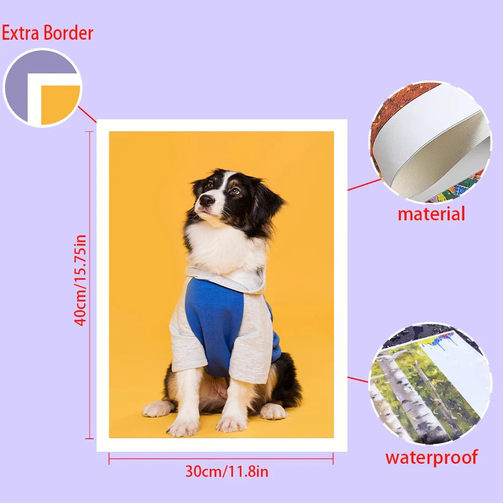 affiche toile personnalisée photo chien habillé cadre bois moderne décoration murale salon grande taille