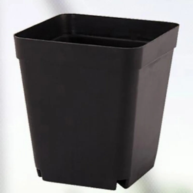pots fleurs plastique noir modernes 7cm 10 pièces succulentes légumes
