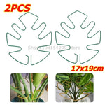Support tiges plantes or spirale moderne fixations adhésives grandes plantes intérieures pothos philodendron monstera