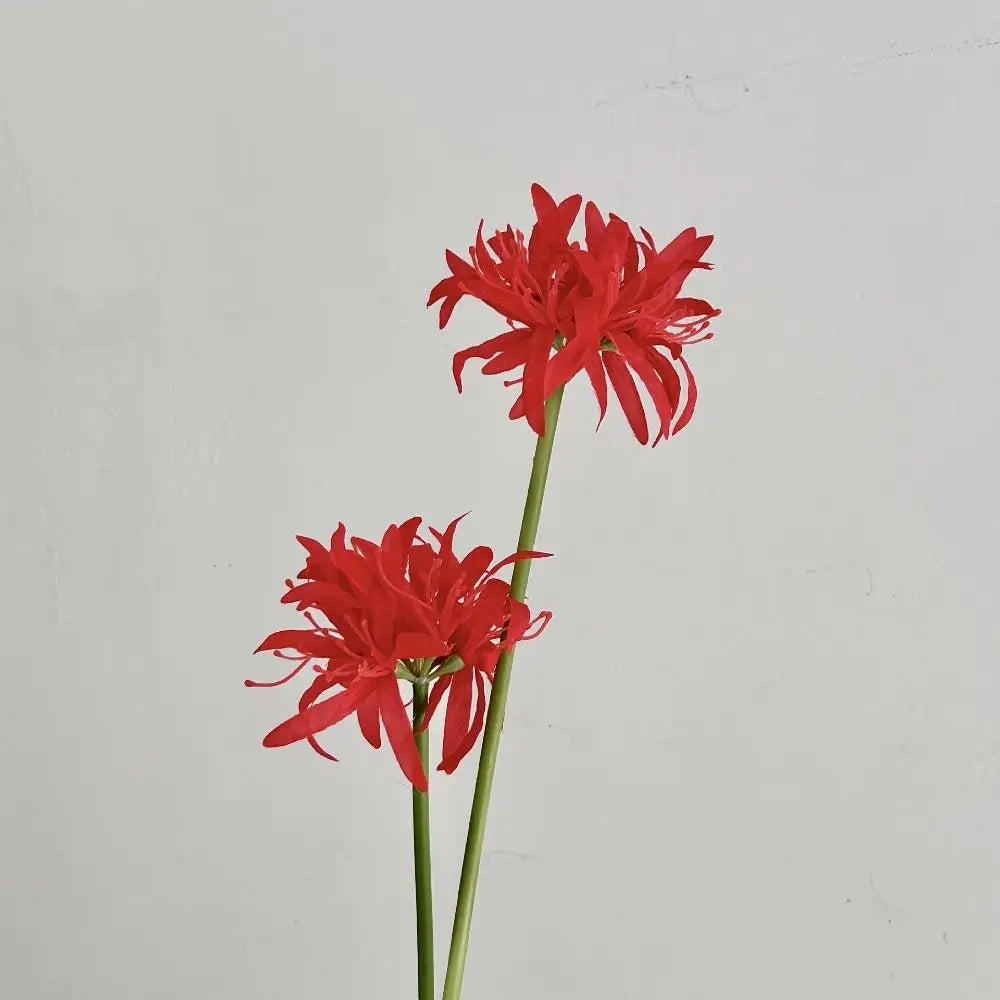 Bouquet artificiel moderne orange rouge blanc feuilles vertes vase blanc décoration intérieure noël minimaliste