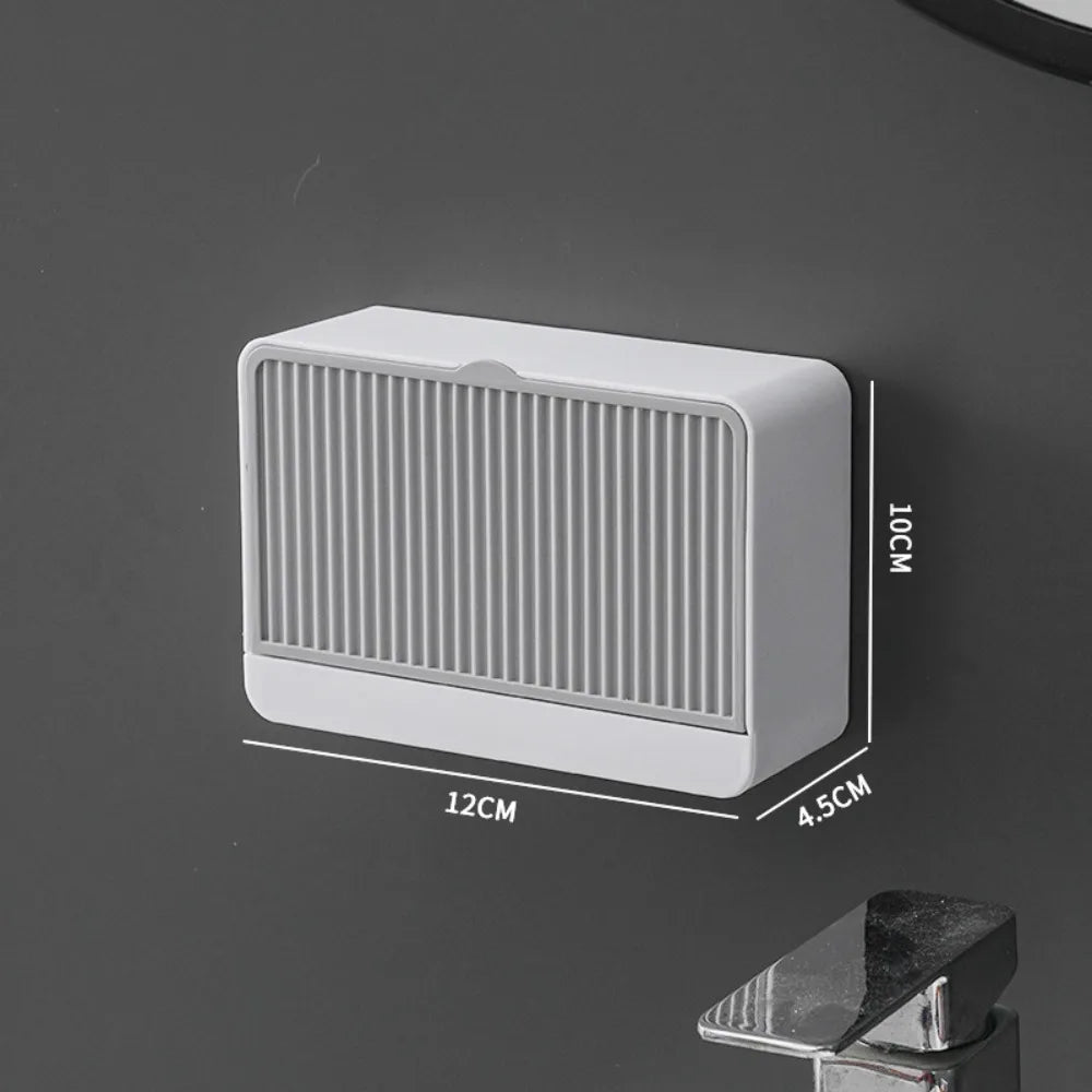 boîte savon moderne blanche rayée adhésive petite plante artificielle