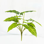 plante artificielle décorative feuilles vertes blanches rouges salon maison moderne naturel